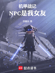 机战魂：NPC是我女友
