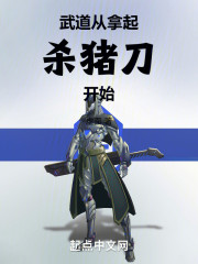 武道从拿起杀猪刀开始
