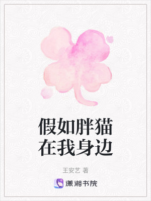 假如胖猫在我身边