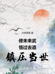 修未来武，悟过去道，镇压当世！