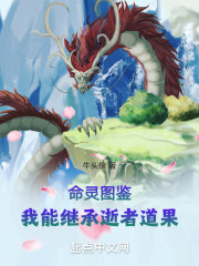 命灵图鉴：我能继承逝者道果