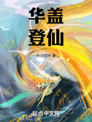华盖登仙