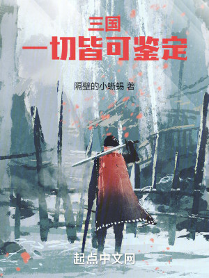 三国：一切皆可鉴定