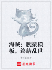 海贼：腕豪模板，终结乱世