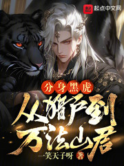 分身黑虎，从猎户到万法山君