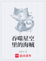 吞噬星空里的海贼