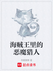 海贼王里的恶魔猎人