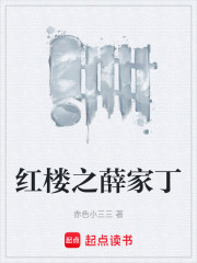 红楼之薛家丁