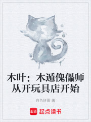 木叶：木遁傀儡师从开玩具店开始