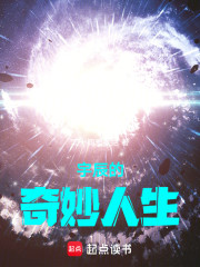 宇辰的奇妙人生