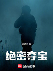 绝密夺宝