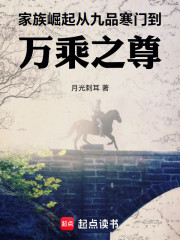 家族崛起：从九品寒门到万乘之尊