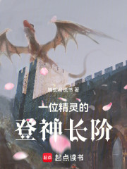 一位精灵的登神长阶
