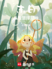 末日从智慧球开始