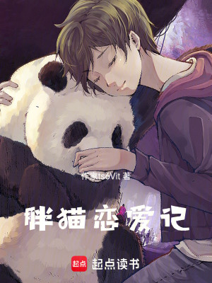 胖猫恋爱记