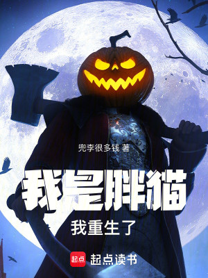 我是胖猫，我重生了