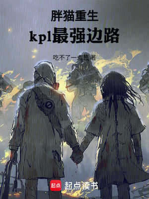 胖猫重生：kpl最强边路