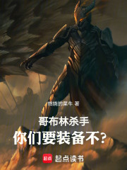 哥布林杀手，你们要装备不？