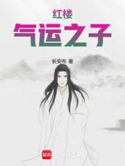 红楼气运之子
