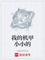 我的机甲小小的