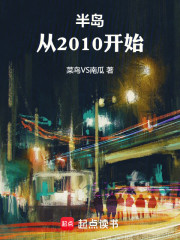 半岛：从2010开始