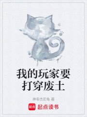 我的玩家要打穿废土