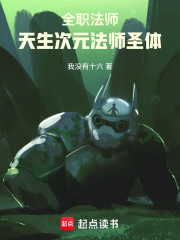 全职法师：天生次元法师圣体