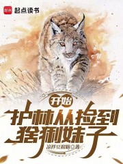 护林从捡到猞猁妹子开始