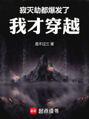 寂灭劫都爆发了，我才穿越