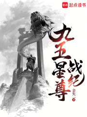 九五星尊战纪