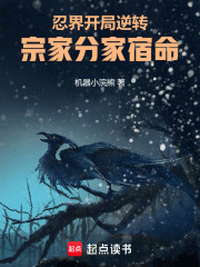 忍界：开局逆转宗家分家宿命！