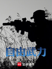 自由武力