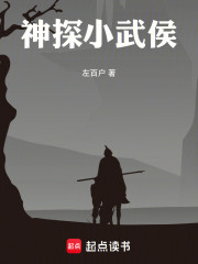 神探小武侯