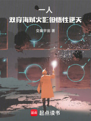一人：双穿海贼火影，但悟性逆天