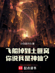 飞船掉到土匪窝，你说我是神仙？