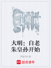 大明：自老朱皇孙开始