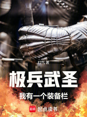 极兵武圣：我有一个装备栏