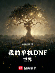 我的单机DNF世界