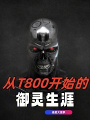 从T800开始的御灵生涯