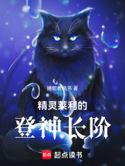 精灵莱利的登神长阶