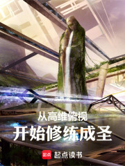 从高维俯视开始修练成圣
