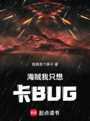 海贼：我只想卡BUG