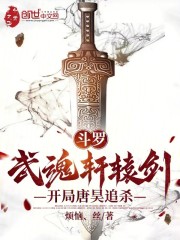 斗罗：武魂轩辕剑，开局唐昊追杀