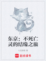 东京：不死亡灵的结缘之旅