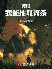 海贼：我的词条是祖国人