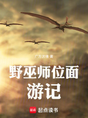 野巫师位面游记