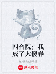 四合院：我成了大傻春