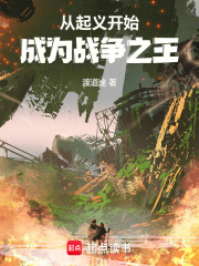 从起义开始统一乱世