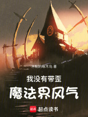 我没有带歪魔法界风气！