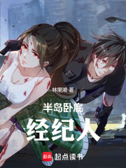 半岛卧底经纪人